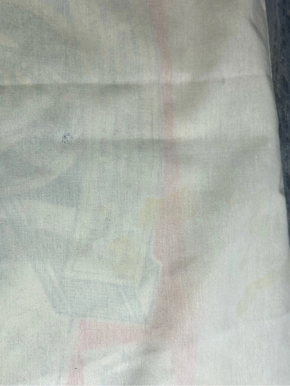 Sears decorative pillow